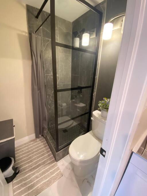 Studio Unit With Private Entrance, 2 Bed 1 Bath Apartment St. John's Exterior photo